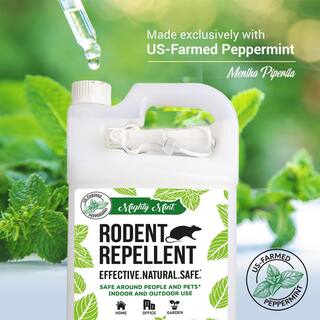 🎉Limited Time Offer🎉Mighty Mint Gallon (128 oz.) Rodent Natural Peppermint Oil Spray RG-128