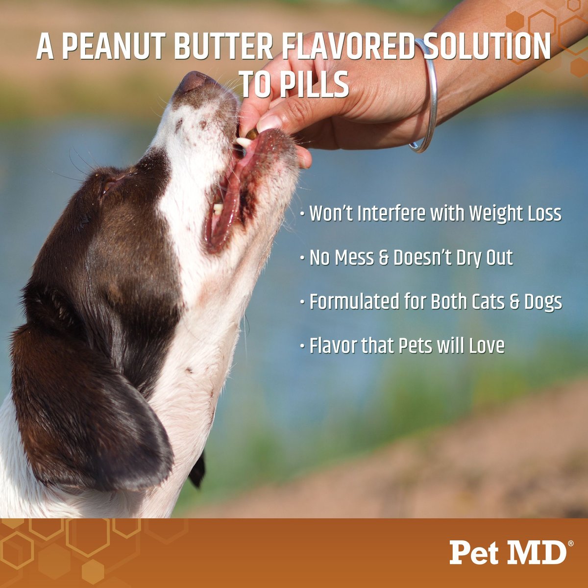 Pet MD Wrap-A-Pill Peanut Butter Flavor Pill Paste Dog and Cat Supplement， 4.2-oz tub