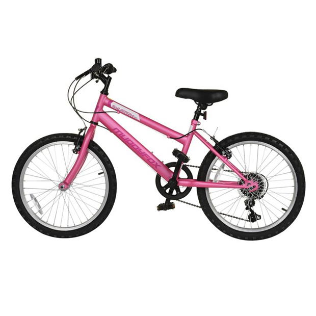 Muddyfox Synergy 20 Inch Girl's Bike