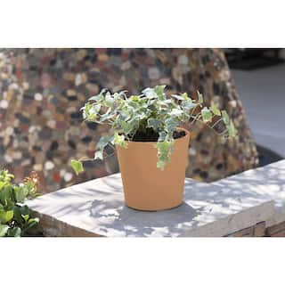 PRIVATE BRAND UNBRANDED Natural 4.75 in. Clay Cabo Flair Pot LHDPOTCLCBFL4X4