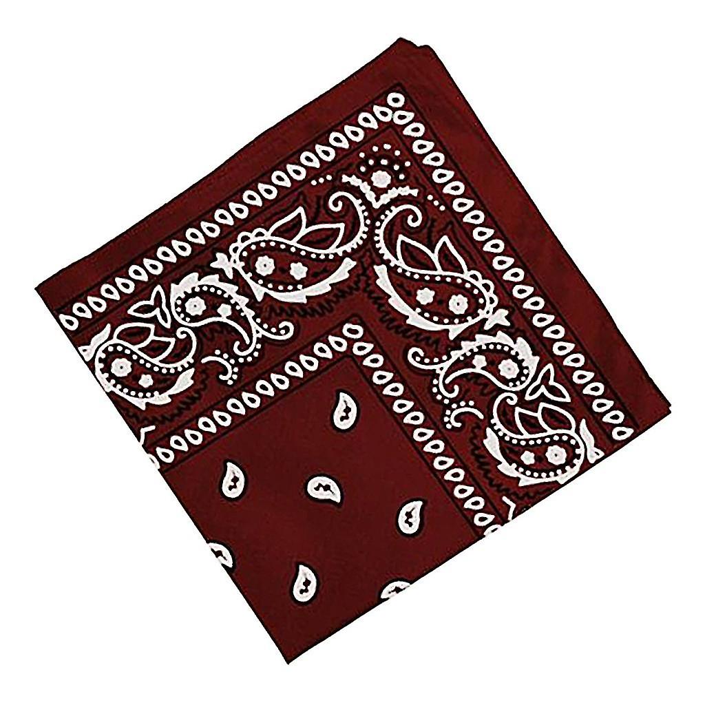 2pcs Cotton Double Sided Paisley Print Paisley Bandana Head Wrap Hair Band