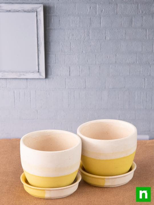 3.7 inch (9 cm) Round Egg Ceramic Pot with Plate (White, Yellow) (Set of 2)