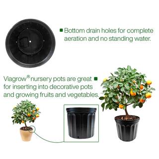 Hydroponics Organic 2 Gal. Plastic Nursery Pots (7.57 l) 20-Pack VHPP200-20