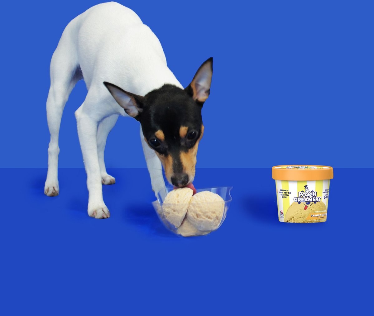 Pooch Creamery Peanut Butter Ice Cream Mix Dog Treat， 2.32-oz cup