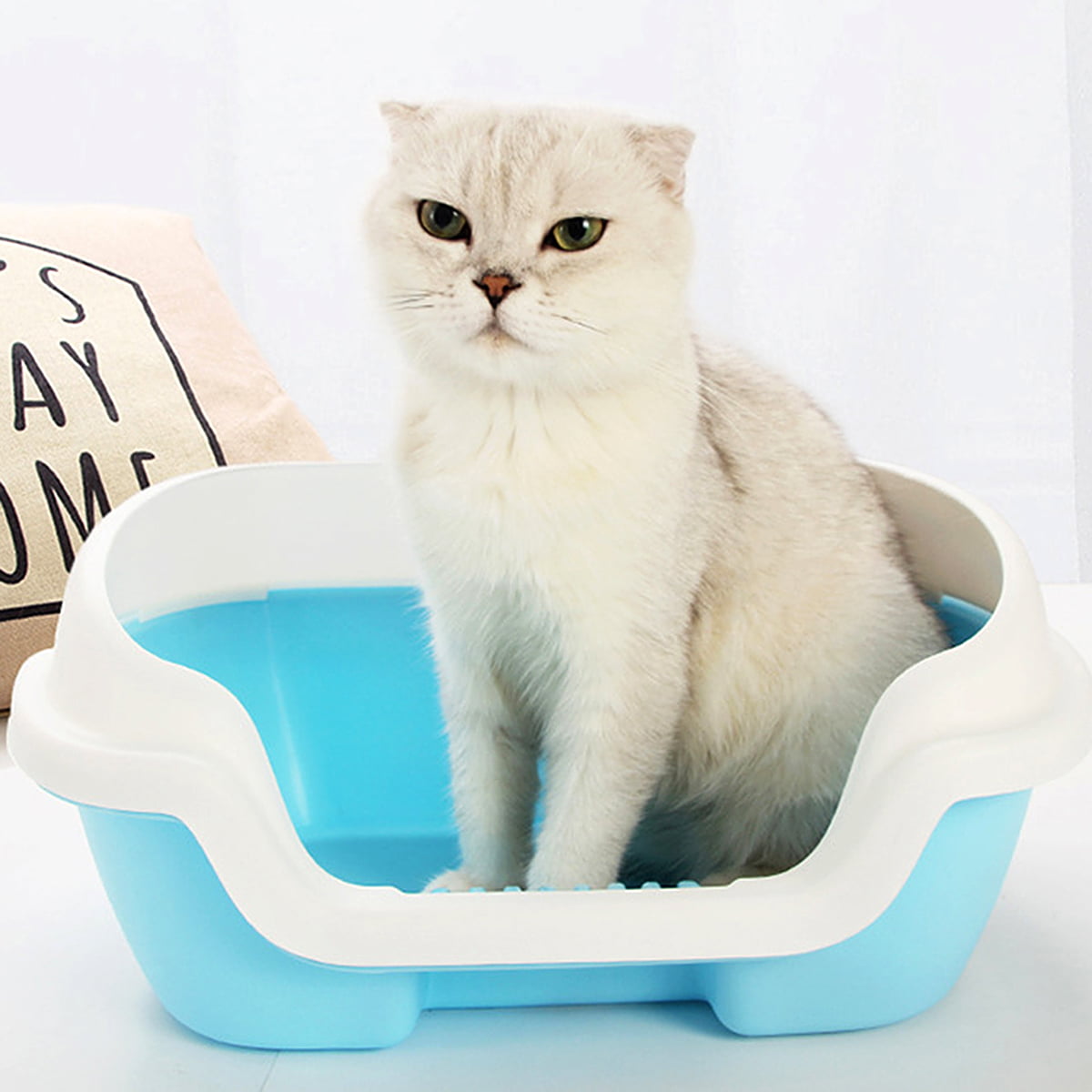 NUOLUX Litter Cat Box Toilet Basin Supplies Boxes Small Kitten Cleaning Open Large Kittenssifting Tray Self High Enclosed