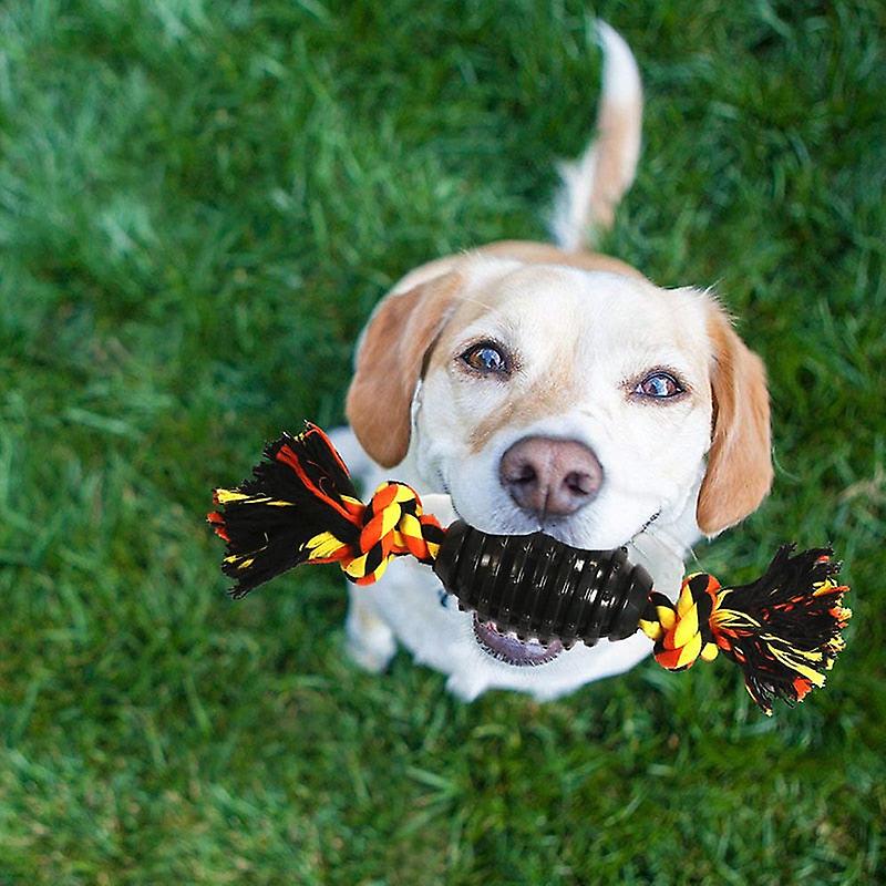 Interactive tug of war dog rope toy