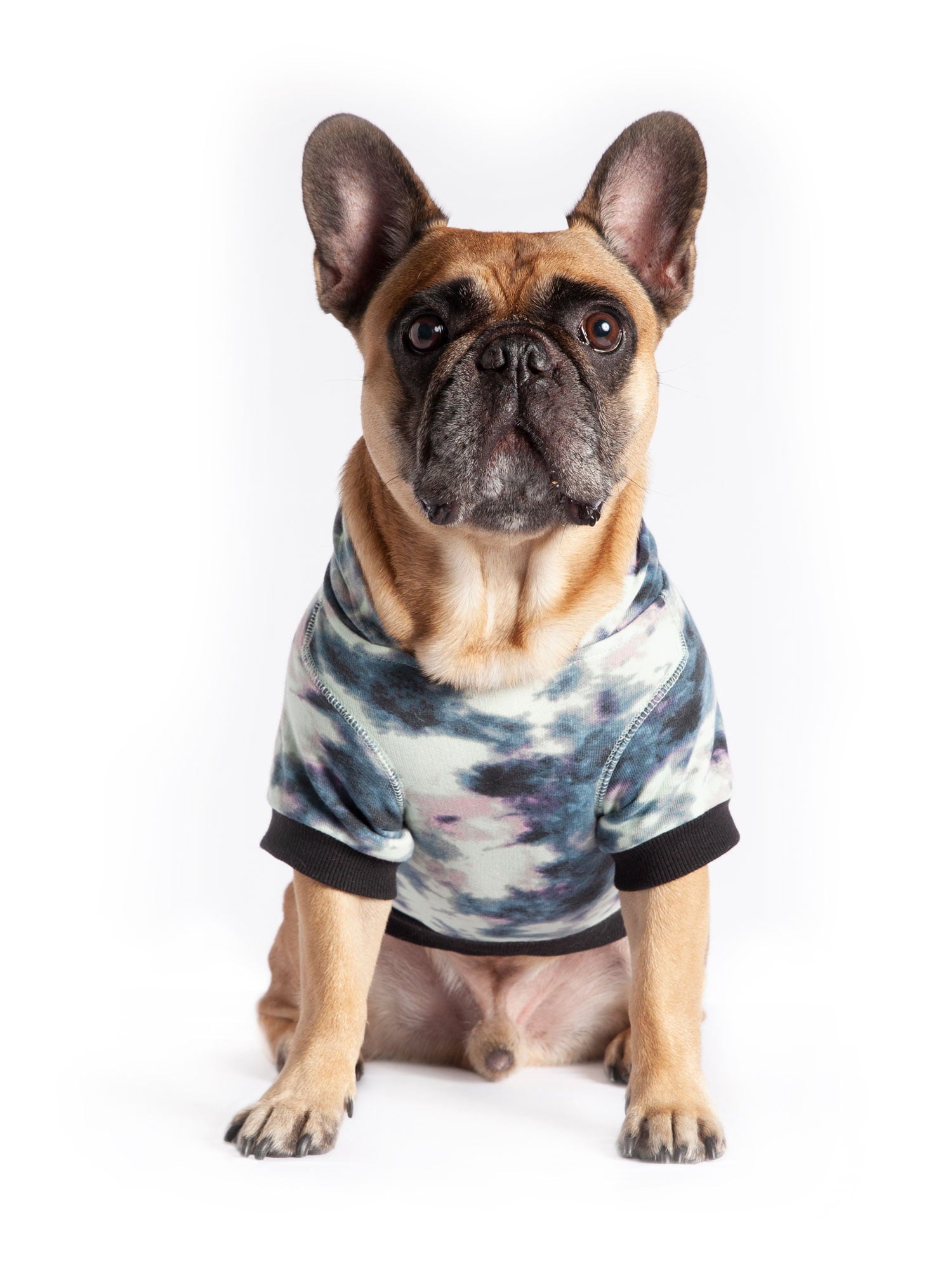 Coco + Rebel Tie-Dye Fashion Dog Hoodie