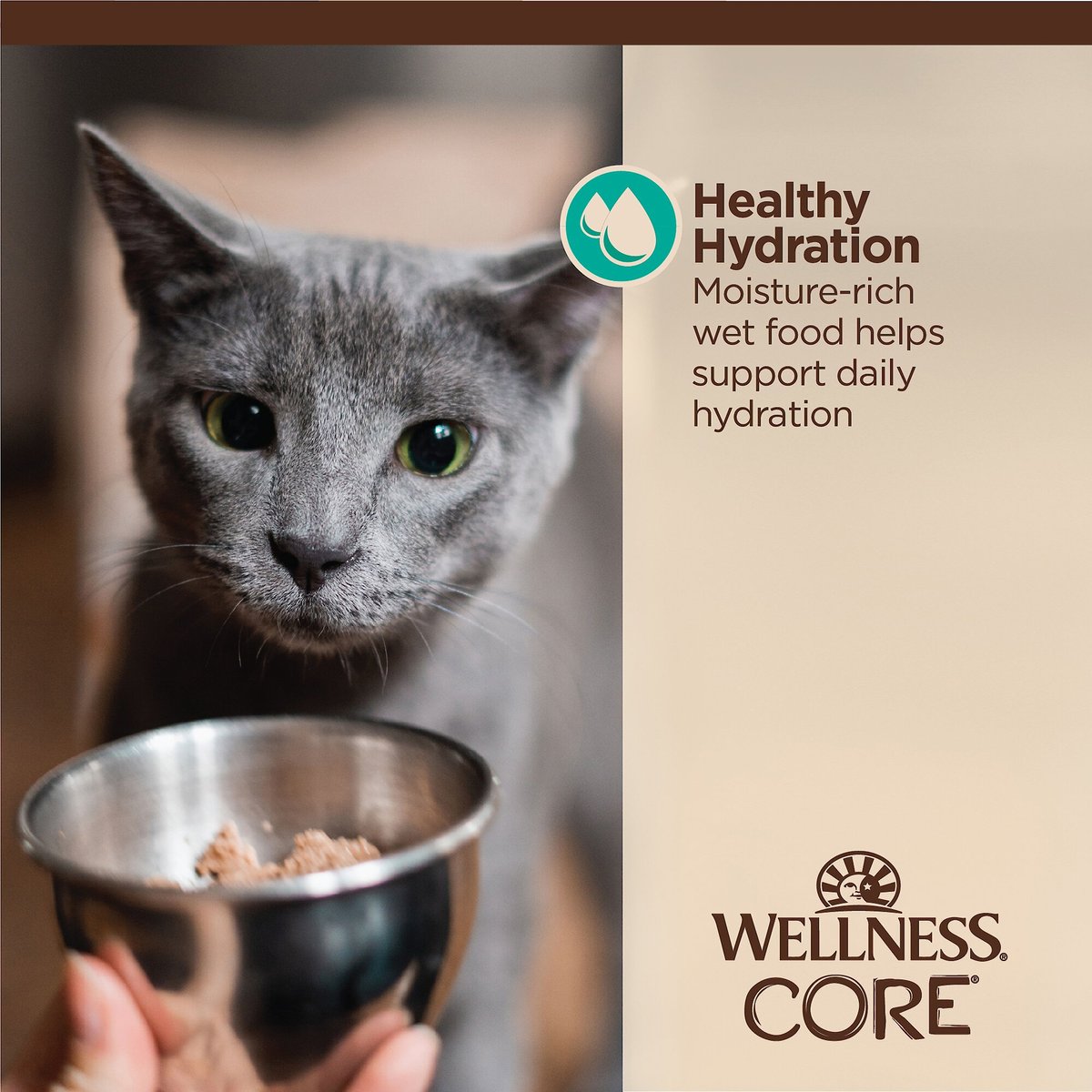 Wellness Tiny Tasters Tuna and Salmon Grain-Free Flaked Wet Cat Food， 1.75-oz pouch， case of 12