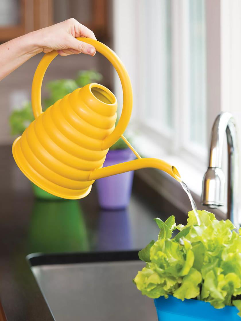 Bee Skep Watering Can