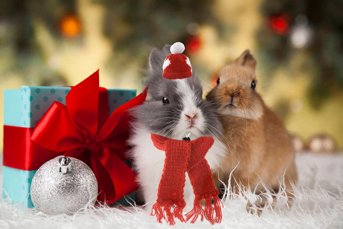 Vehomy Small Pet Holiday and Christmas Hat Scarf 4Pcs in One Set Woolen Hats and Scarfs Christmas Small Animal Costume for Hamster Guinea Pig Rabbit Bunny Chinchilla Hedgehog and Other Similar Pet