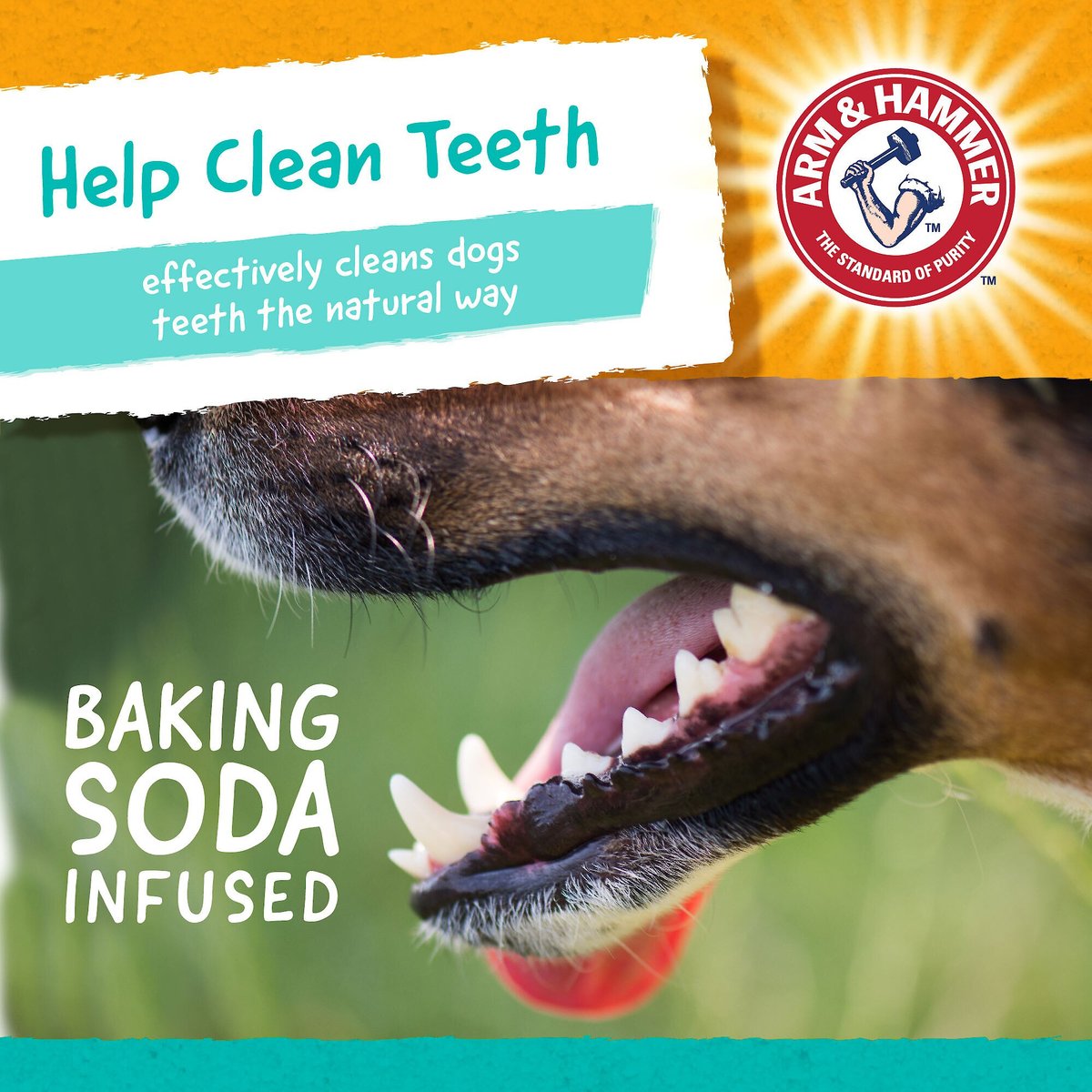 Arm and Hammer Treadz Fresh Breath Peanut Butter Banana Flavor Dog Dental Chews