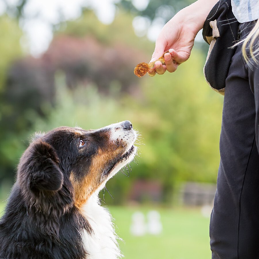 Good 'n' Fun Chicken Dumbbells Dog Treats