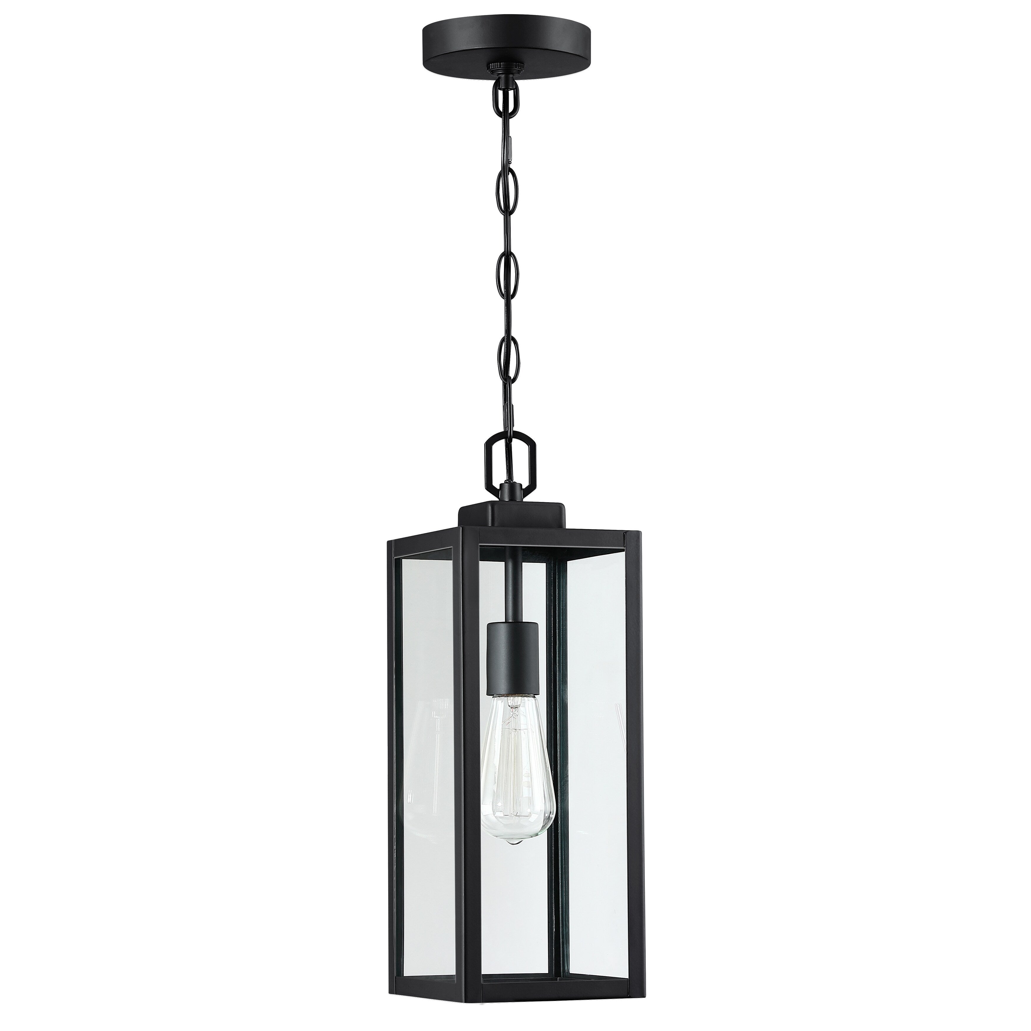 Pia Ricco 17'' H Outdoor Hanging Lantern