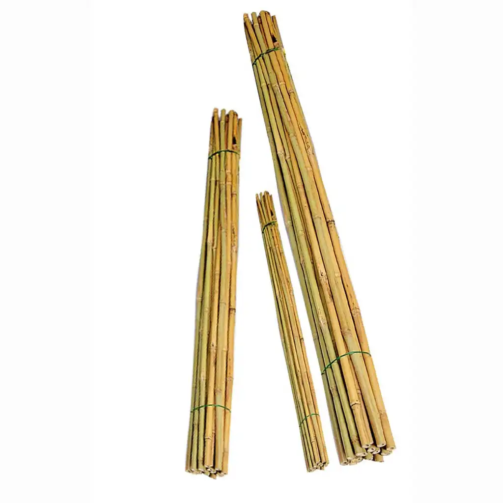 Hot sale s New style Dual Use Bamboo Cane from Factory Good Price