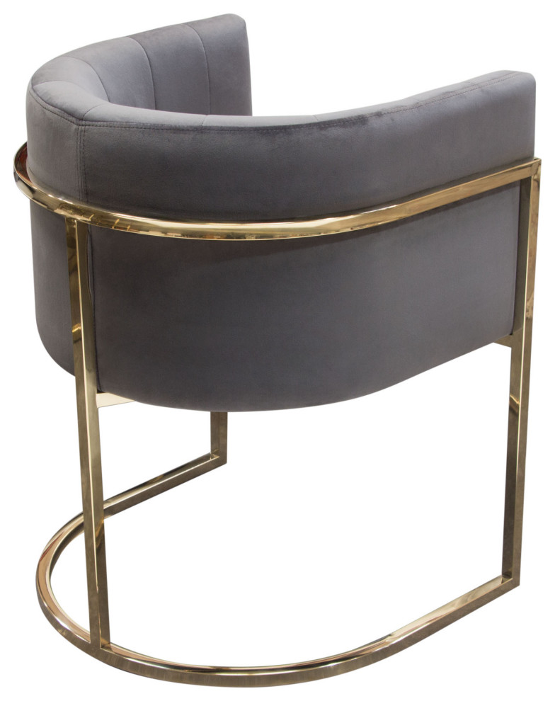 Pandora Dining Chair  Gray Velvet With Polished Gold Frame by Diamond Sofa   Contemporary   Dining Chairs   by Morning Design Group  Inc  Houzz