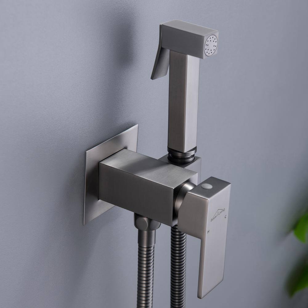 Boyel Living Wall Mount Single-Handle Handheld Bidet Sprayer with Handle and Mixer Body in Gunmetal Gray SMD-16028GG