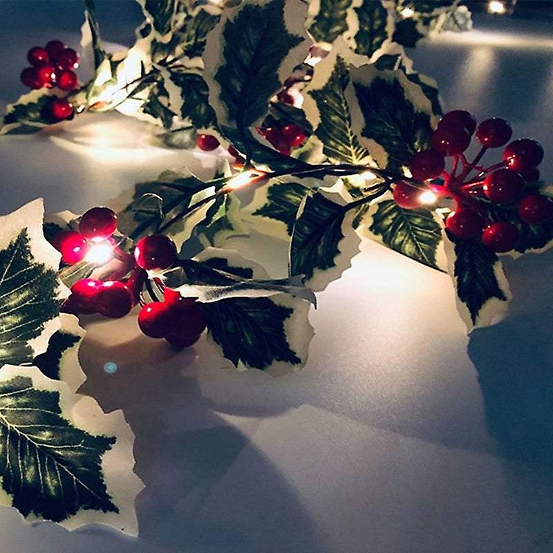 Indoor String Lights 2M 20Led Christmas Berry Garland Battery Powered