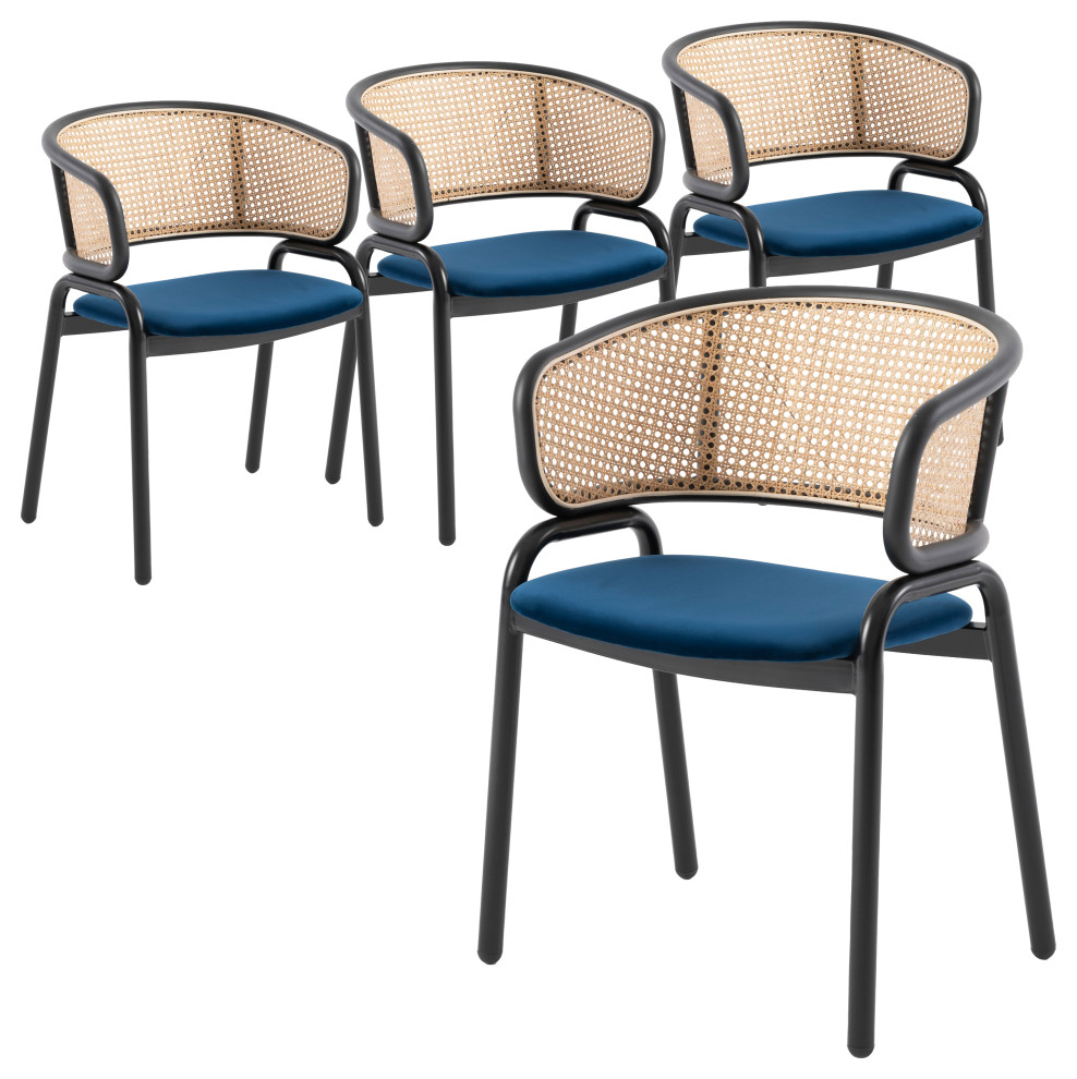 LeisureMod Ervilla Dining Chair With Stainless Steel Legs Set of 4   Tropical   Dining Chairs   by LeisureMod  Houzz