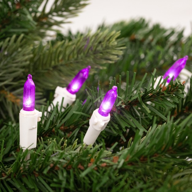 Northlight 50ct Led Mini String Lights Purple 16 25 x27 White Wire