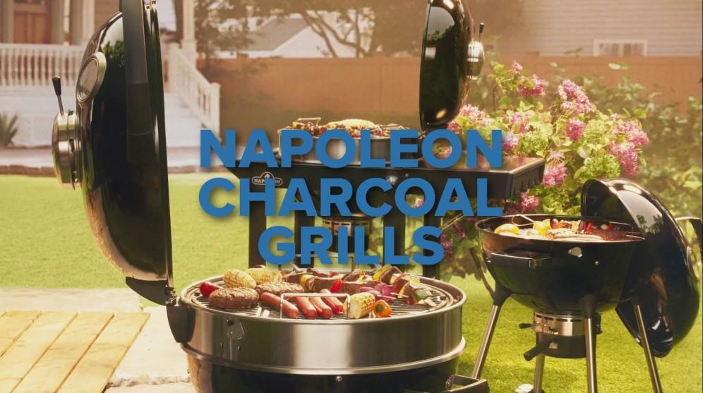 Napoleon Bbq PRO22KCART3 Professional 22 Charcoal Cart 22-Inch Kettle Grill With Cart , Charcoal, Black