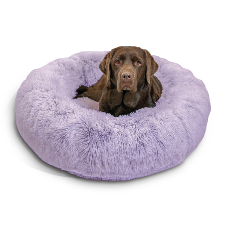 Best Friends by Sheri The Original Calming Donut Cat and Dog Bed