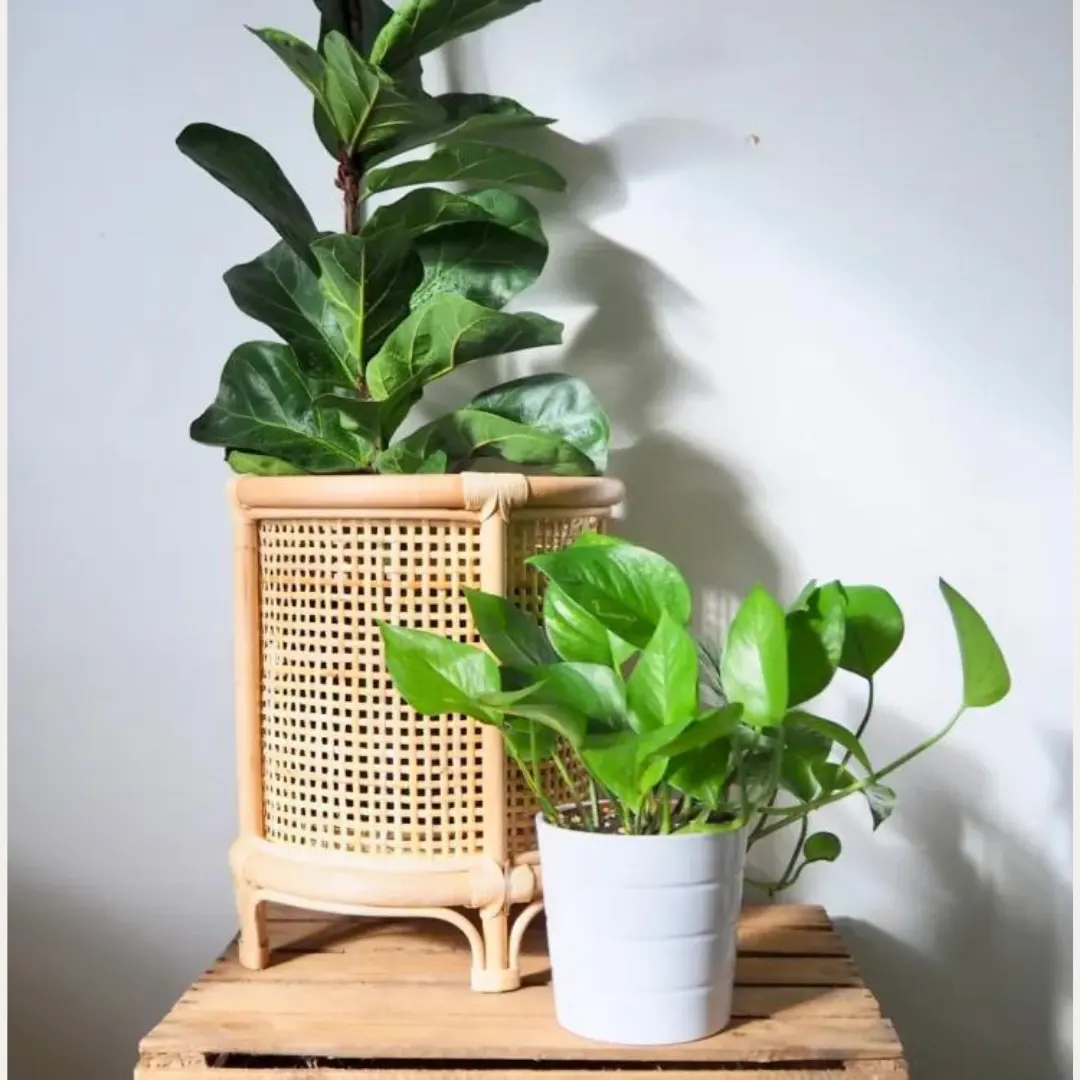 Wholesale New  for 2023 Natural Handmade Eco friendly Rattan Planter for Home garden Garden supplies made in Vietnam