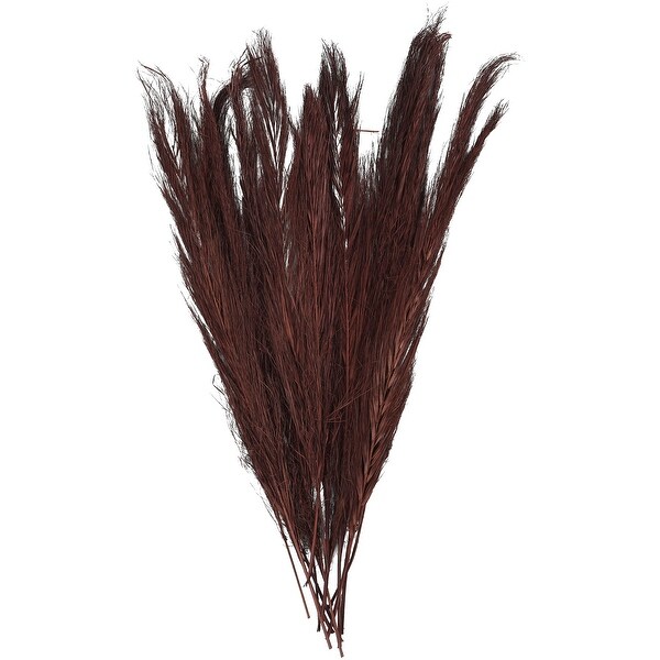 Brown Dried Plant Tall Pampas Grass Natural Foliage