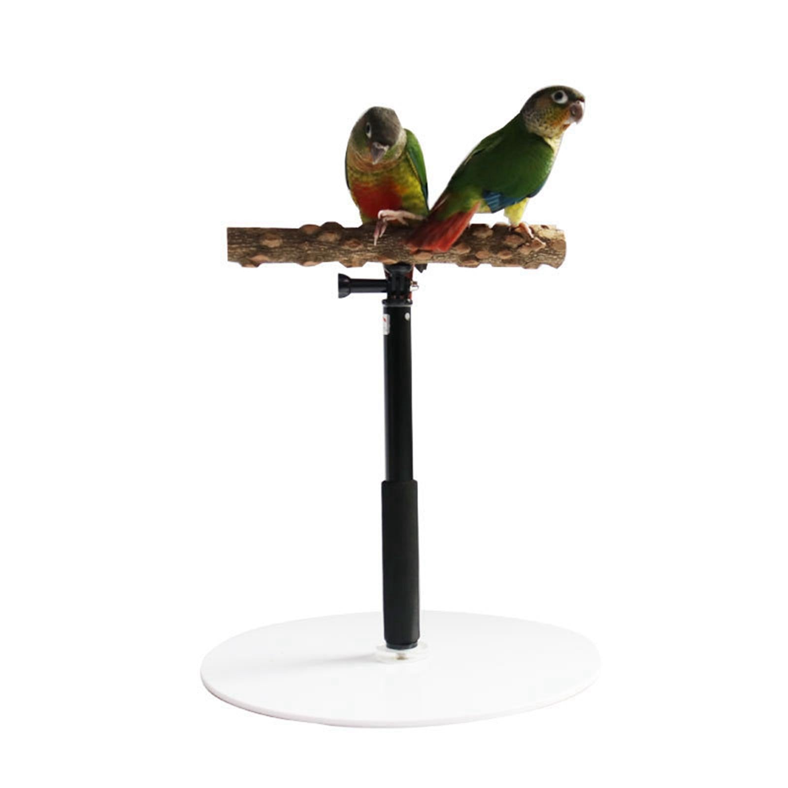 2x Wooden T Stand Parrot Training Playing Cage Bird Perch for Conures Cockatiel