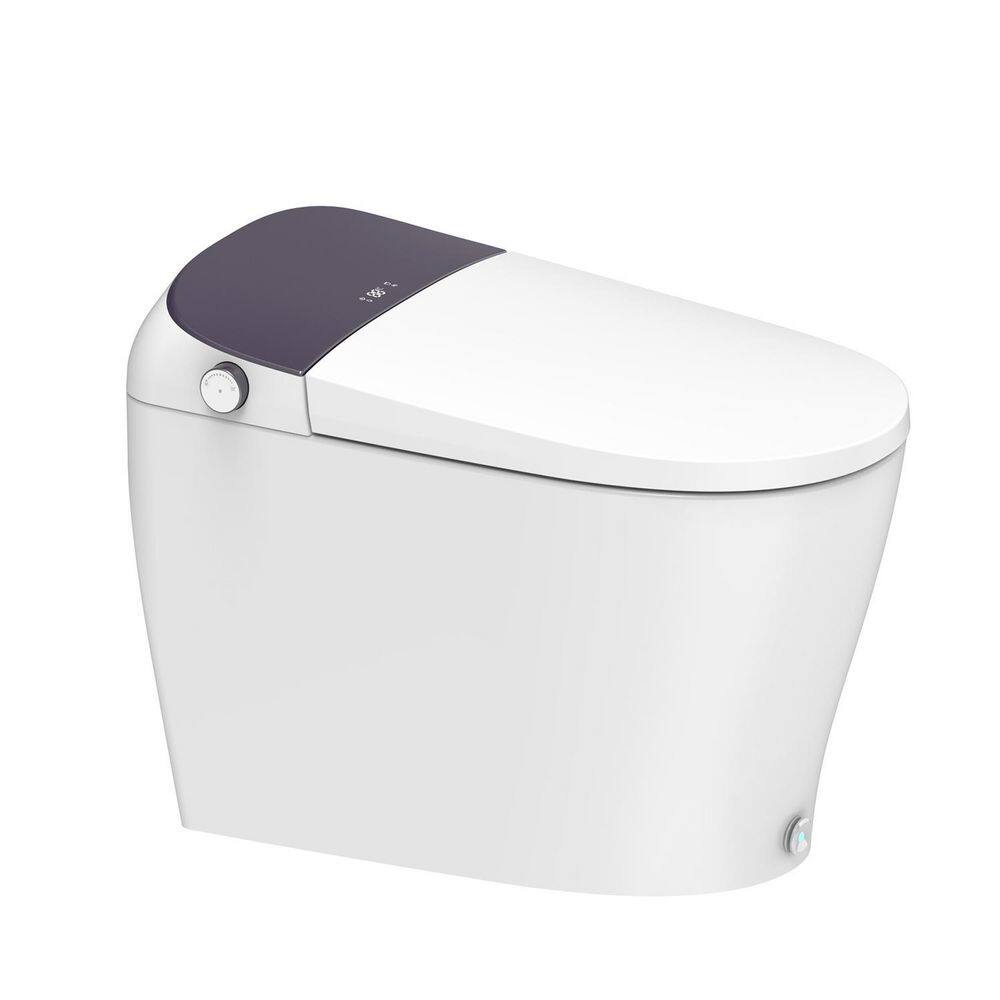 Dyconn Niara 12 in. Rough-In 1-piece 1.051.6 GPF Single Flush Elongated Toilet in White Seat Included DF07TA