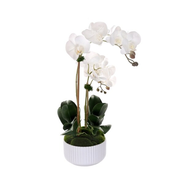 Real Touch Phalaenopsis Orchids in White Ribbed Pot