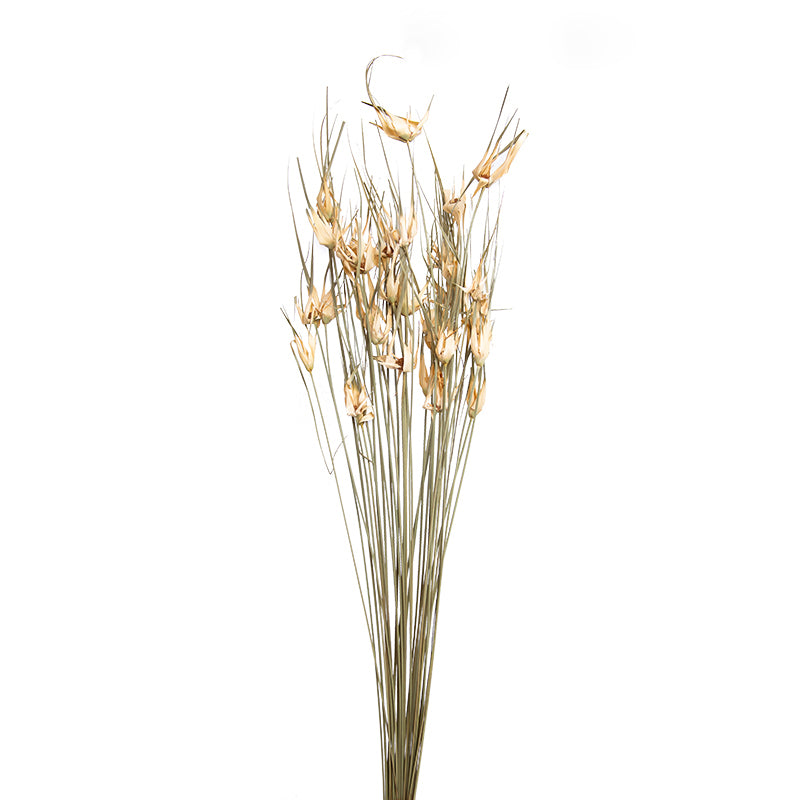 Natural Dried Flower Decoration A Fa-Jh2005A