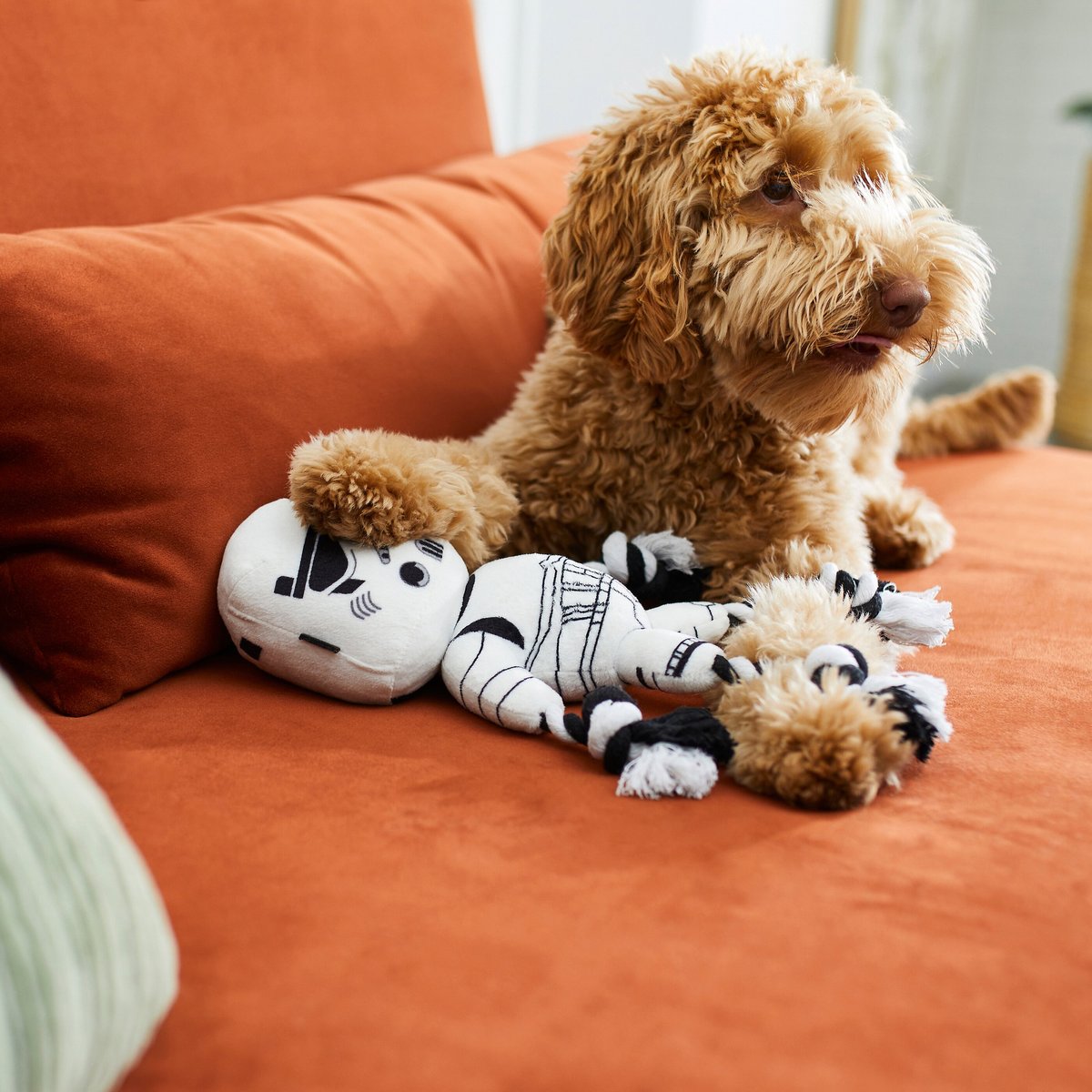 STAR WARS STORMTROOPER Plush with Rope Squeaky Dog Toy