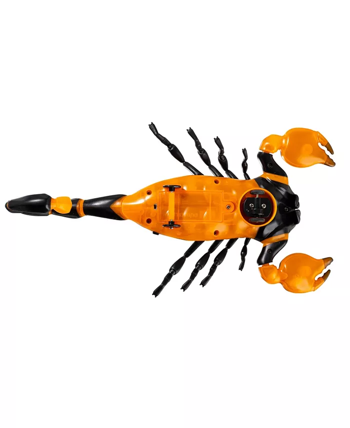 Discovery Kids RC Scorpion  Glow In The Dark Body  Wireless Remote-Control Toy for Kids