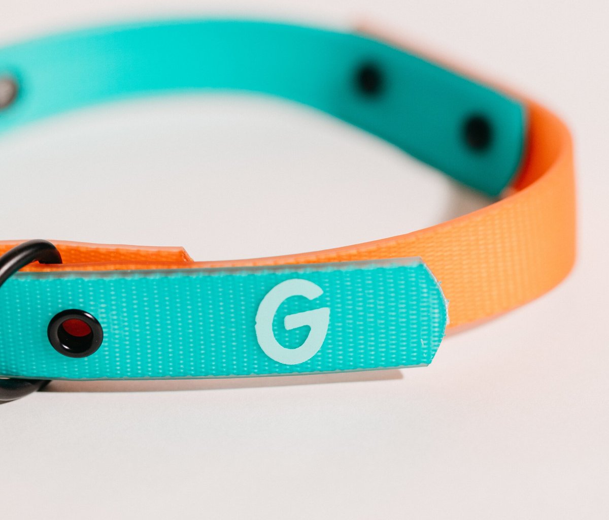 Good Trouble Everyday Coated Nylon Dog Collars