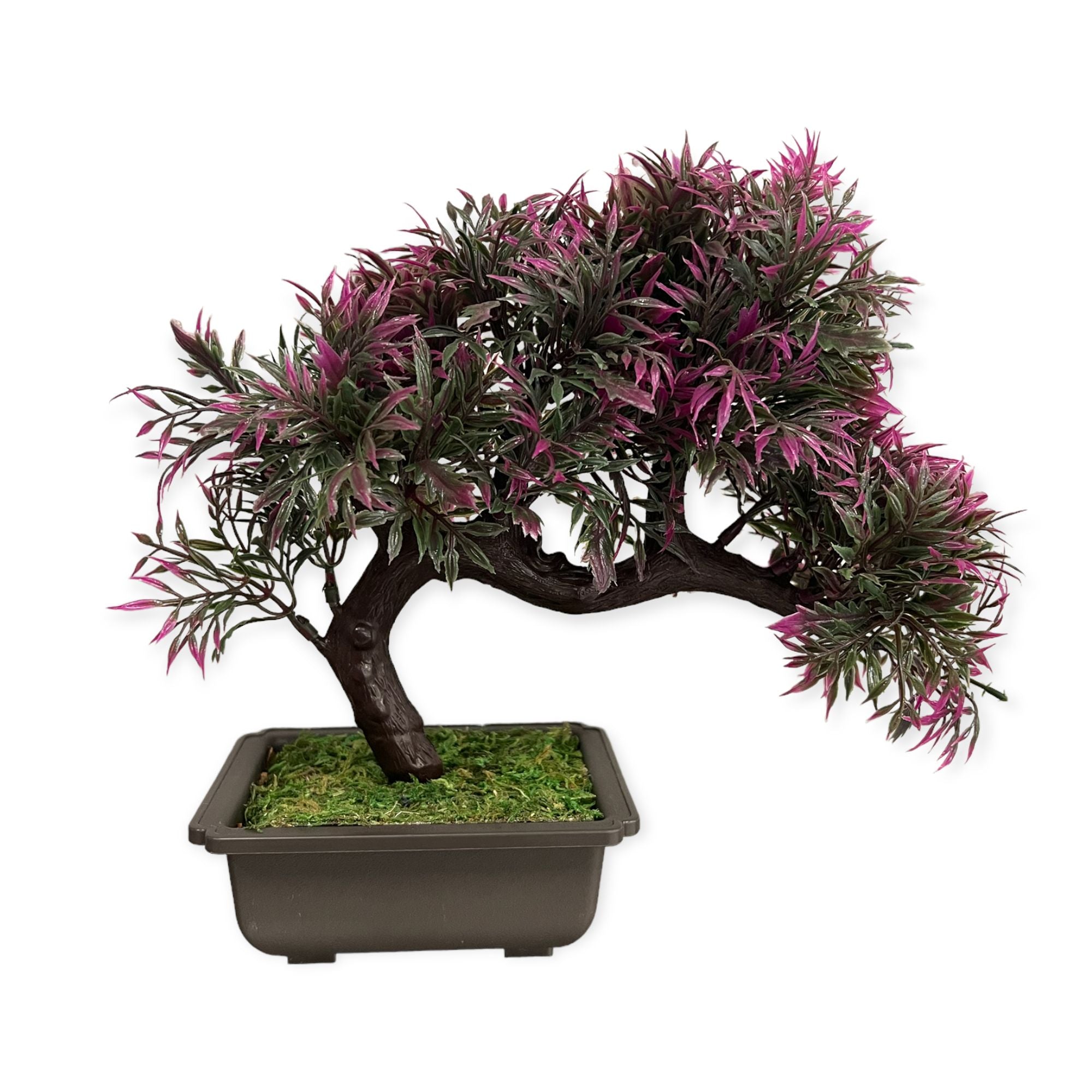 Artificial : Alluring Curved Sideways Bonsai