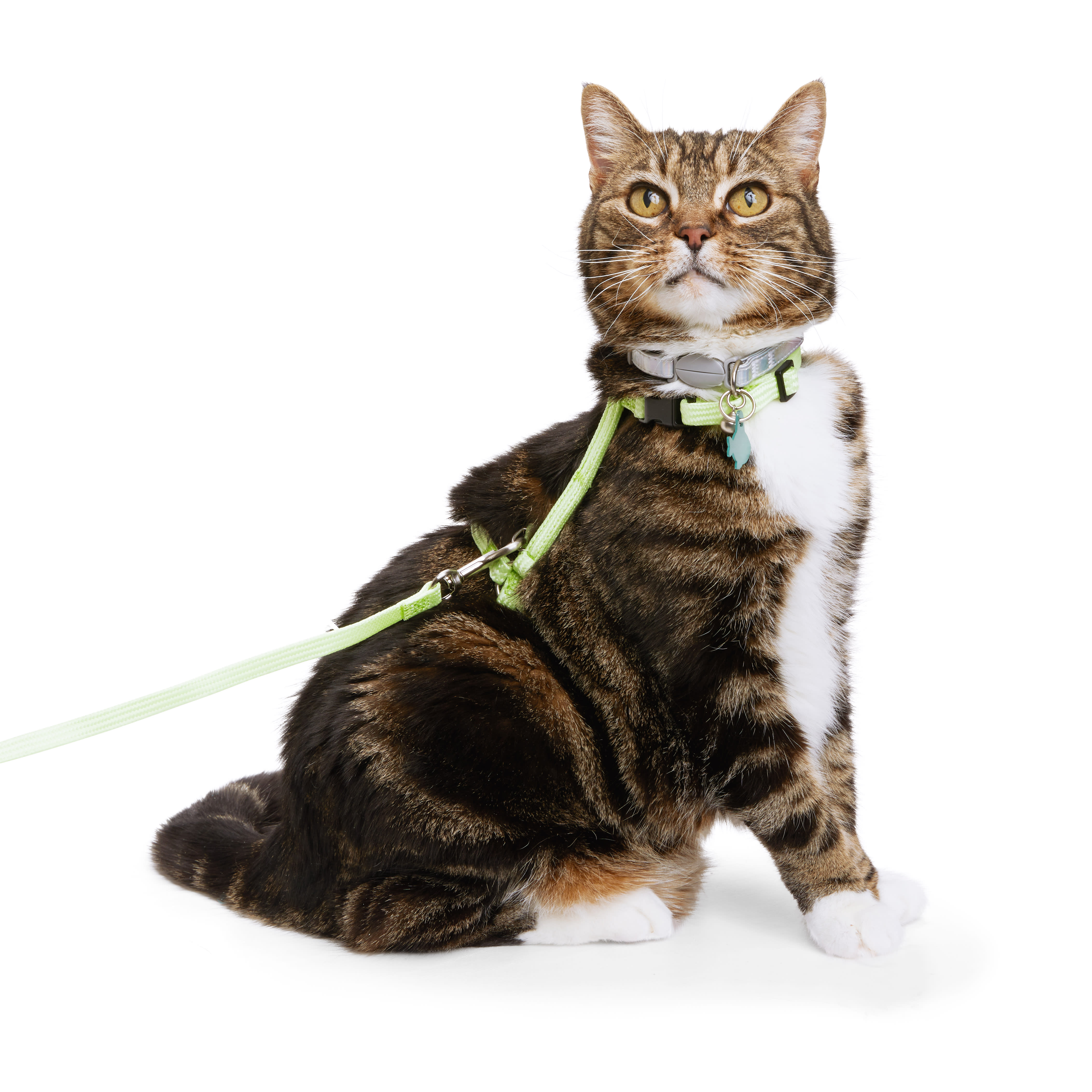 YOULY Green Glow in the Dark Cat Harness  Lead