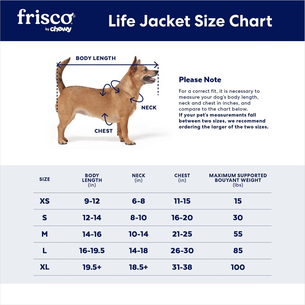 Frisco Active Dog Life Jacket