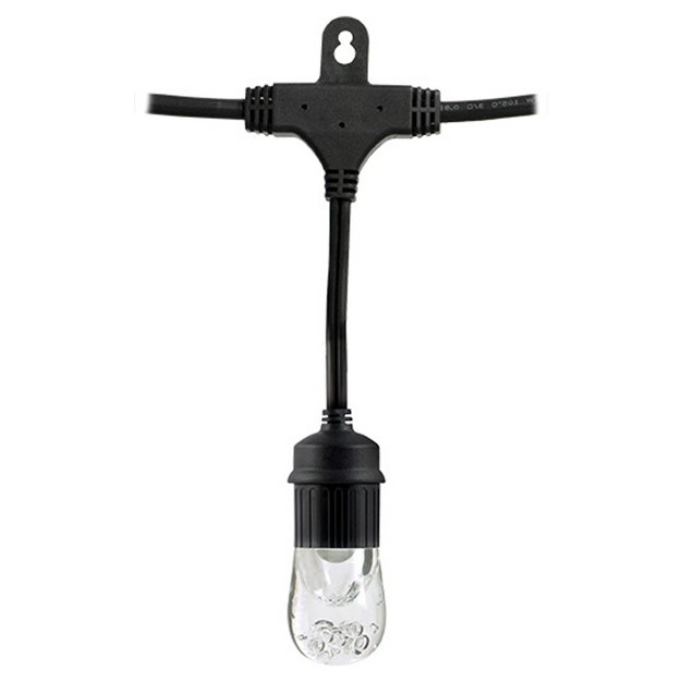 9ct Classic Caf Outdoor String Lights Integrated Led Bulb Black Wire Enbrighten