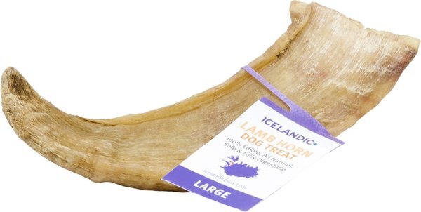 Icelandic+ Lamb Horn Large Dog Chew