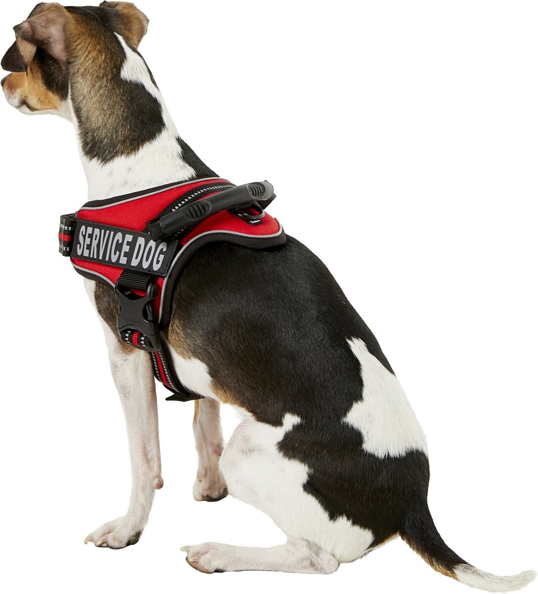 Chai's Choice Service Dog Harness