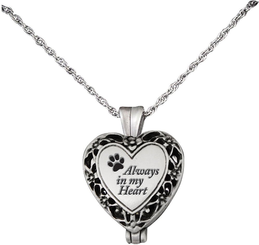 Cathedral Art Always In My Heart Memorial Ashes Locket Necklace