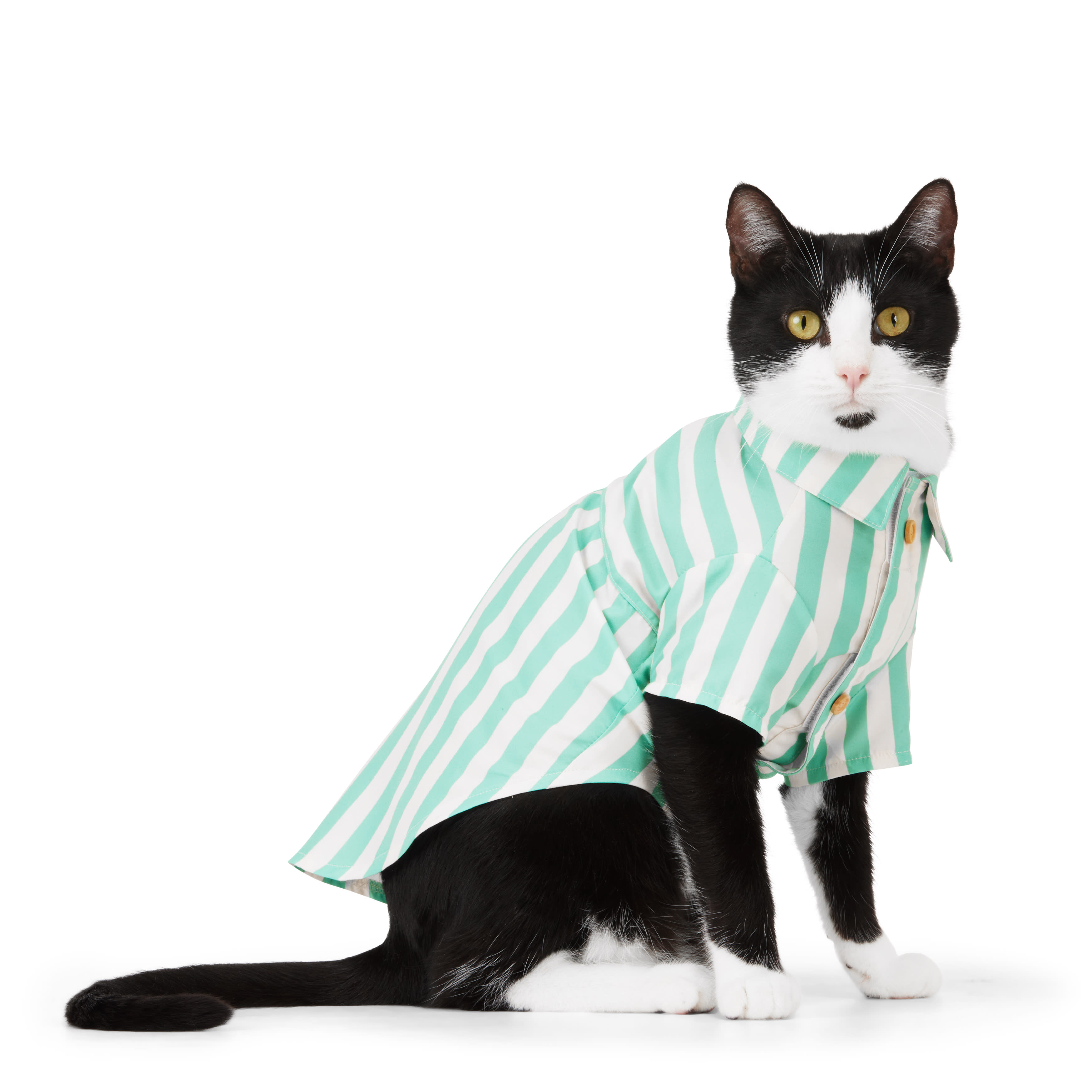 YOULY Green Stripe Shirt for Cats， Small/Medium