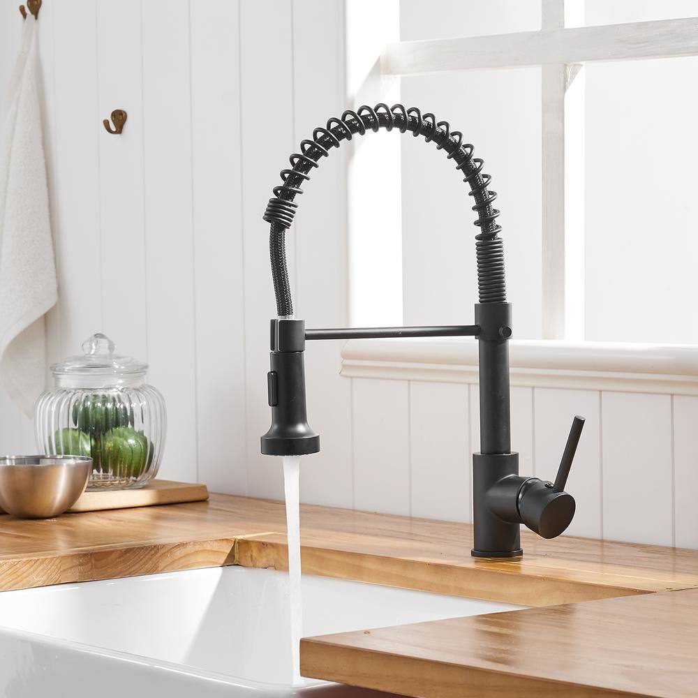 Boyel Living Stainless Steel Faucet Single-Handle Faucet Pull-Down Sprayer Kitchen Faucet Black BM289B-45