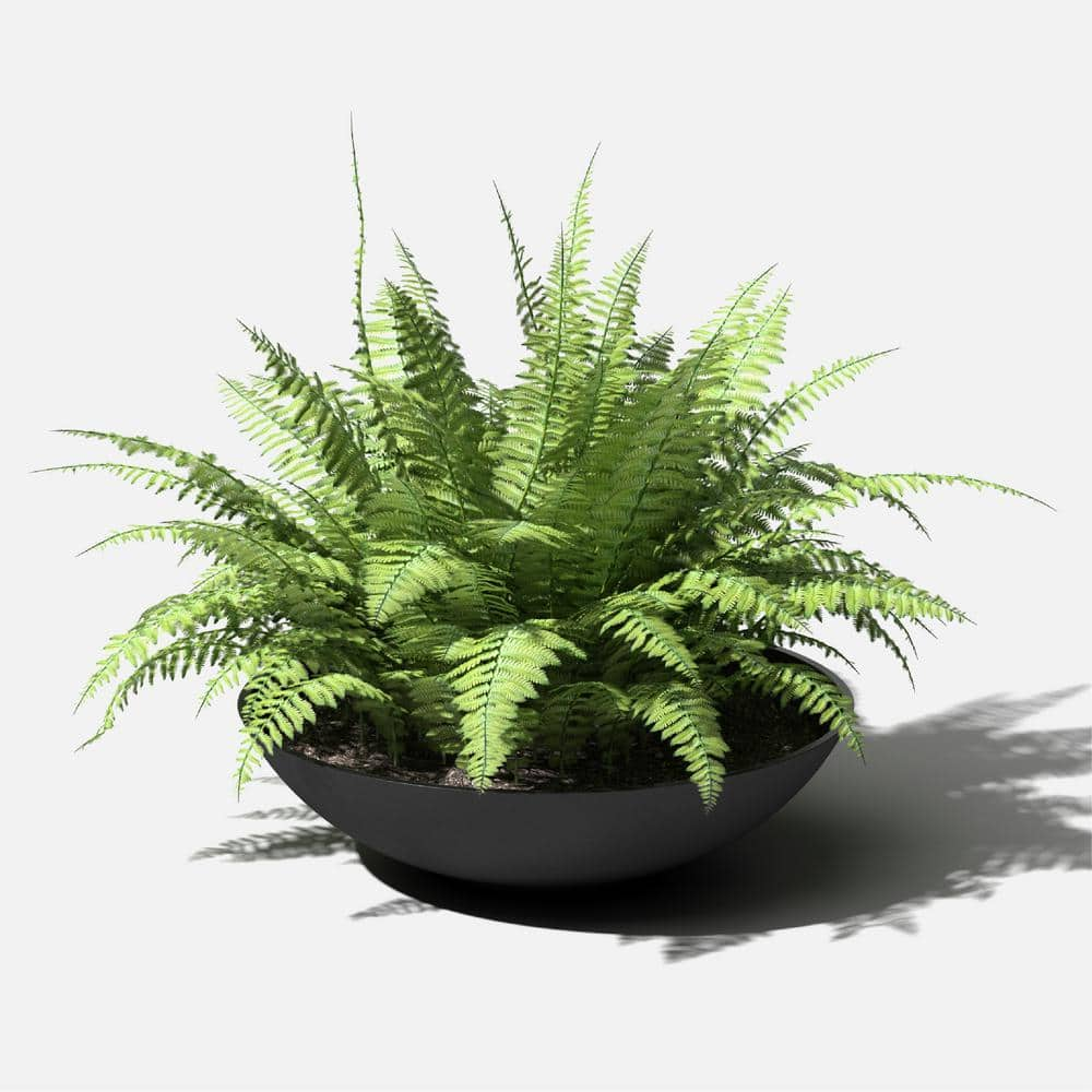 Veradek Lane Bowl 24 in. Black Plastic Round Planter LBV24B