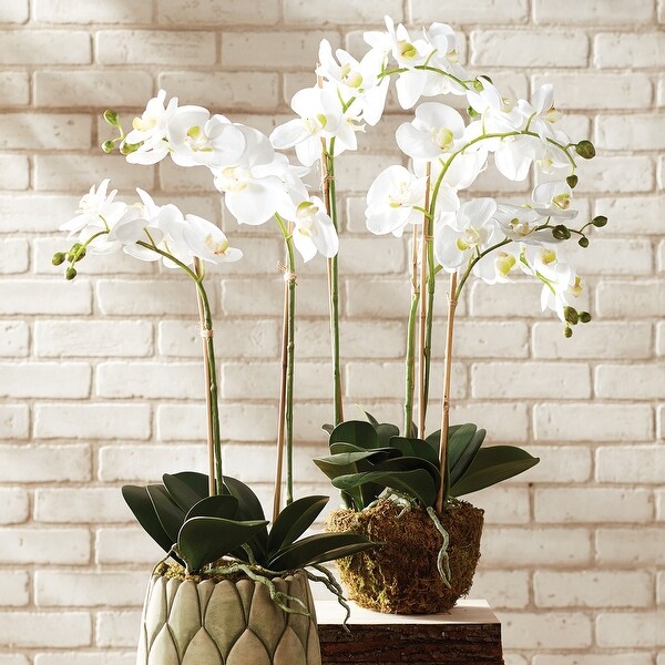 Handcrafted Phalaenopsis Orchid 30 inch Tall DropIn