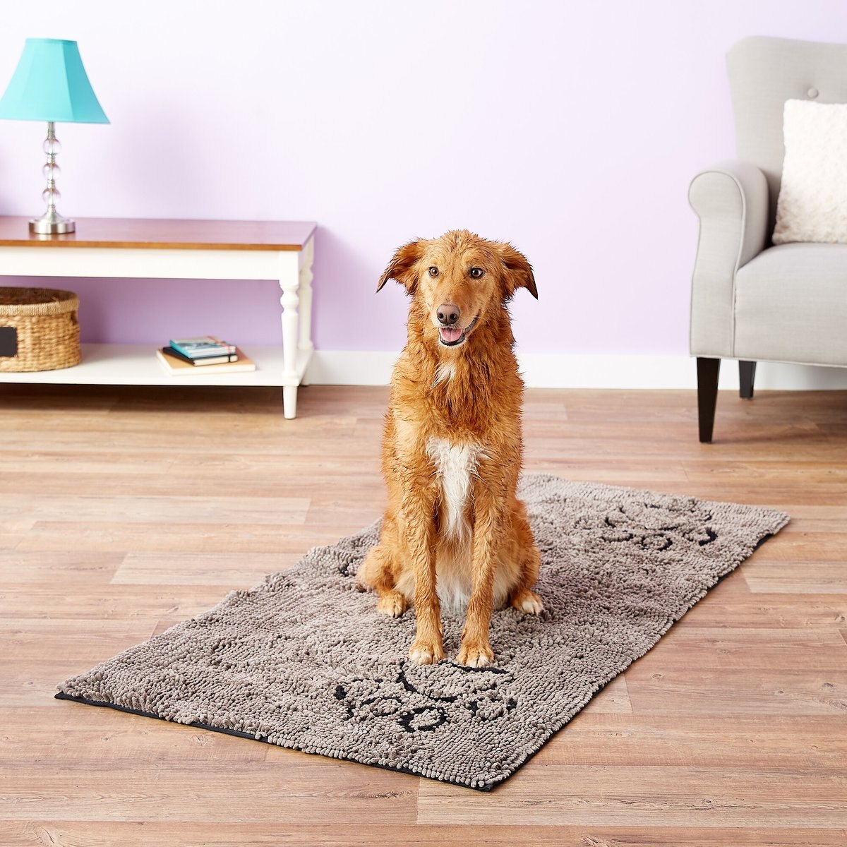 Dog Gone Smart Runner Dirty Dog Doormat， X-Large