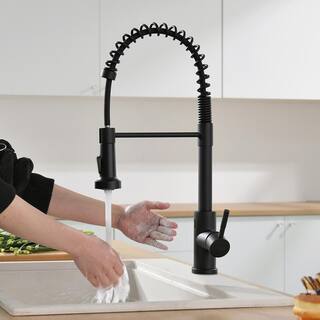 Fapully Touchless Single-Handle Pull-Down Sprayer Kitchen Faucet in Matte Black DFA-1002B