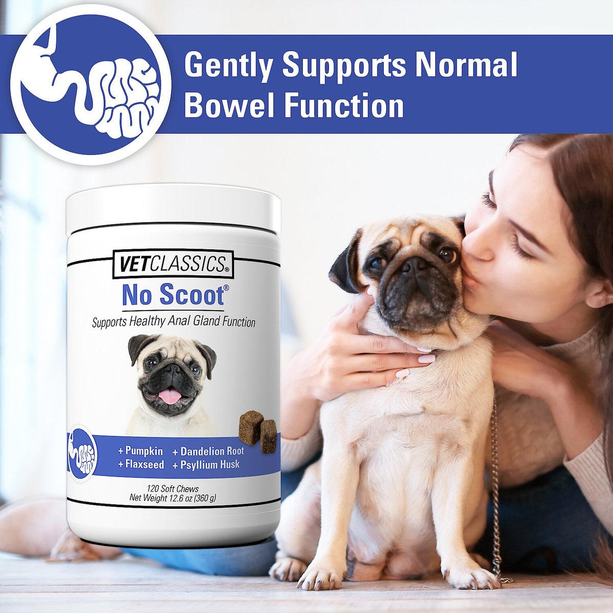 VetClassics No Scoot Anal Gland Function Support Soft Chews Dog Supplement