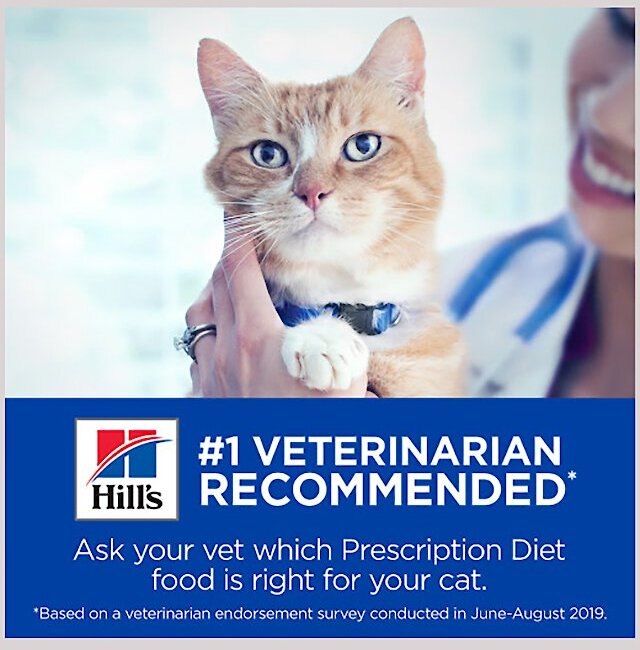 Hill's Prescription Diet Gastrointestinal Biome Chicken and Vegetable Stew Wet Cat Food