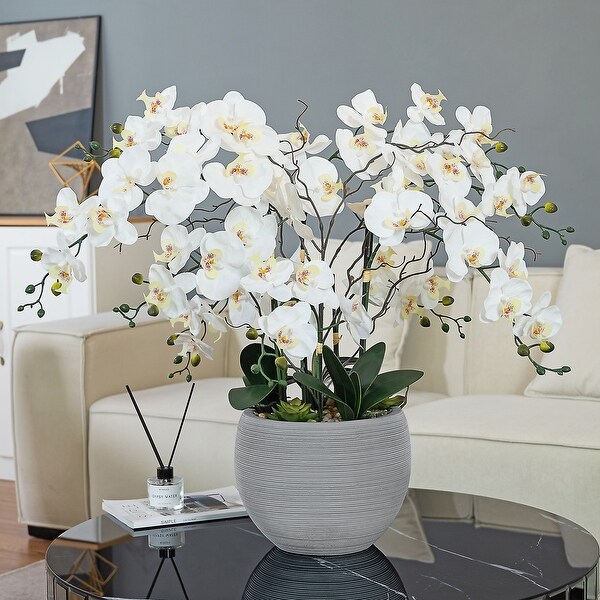 9 Stems Nearly Natural White Phalaenopsis Orchids with Succulents in White Magnesium Oxide Pot